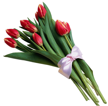 福建捷斯特閥門(mén)制造有限公司